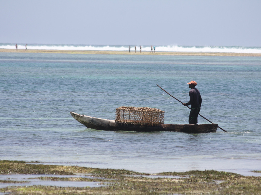 Diani Beach景点图片