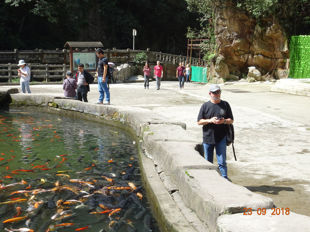 飞潭瀑布-张家界市必去景点