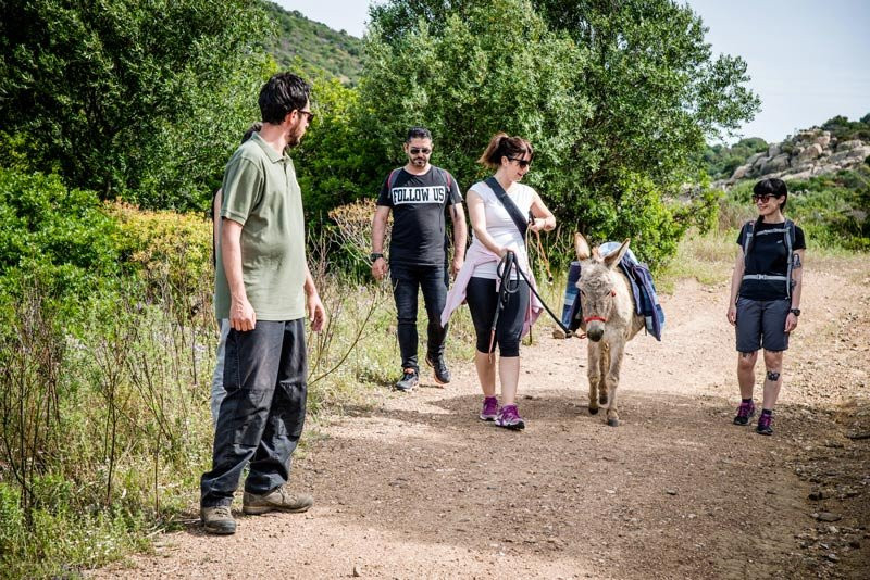 Do Donkey - Trekking con l'asino-Domus de Maria必去景点