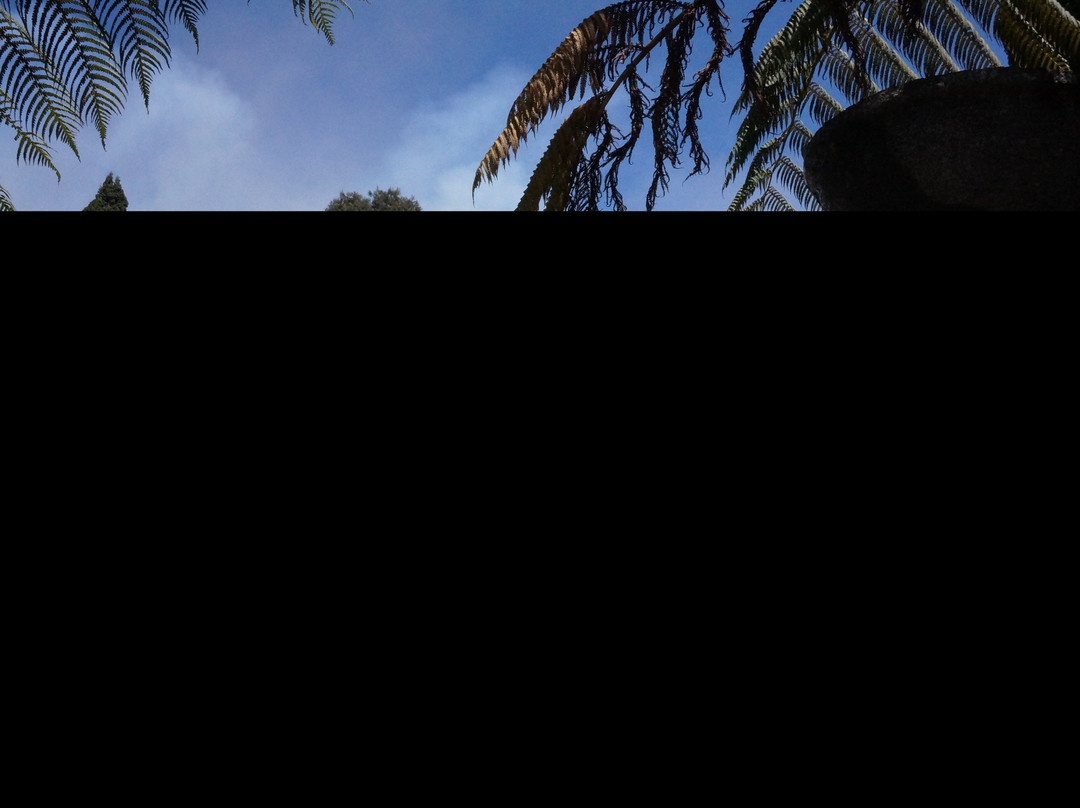 布罗莫柏美酒店主图