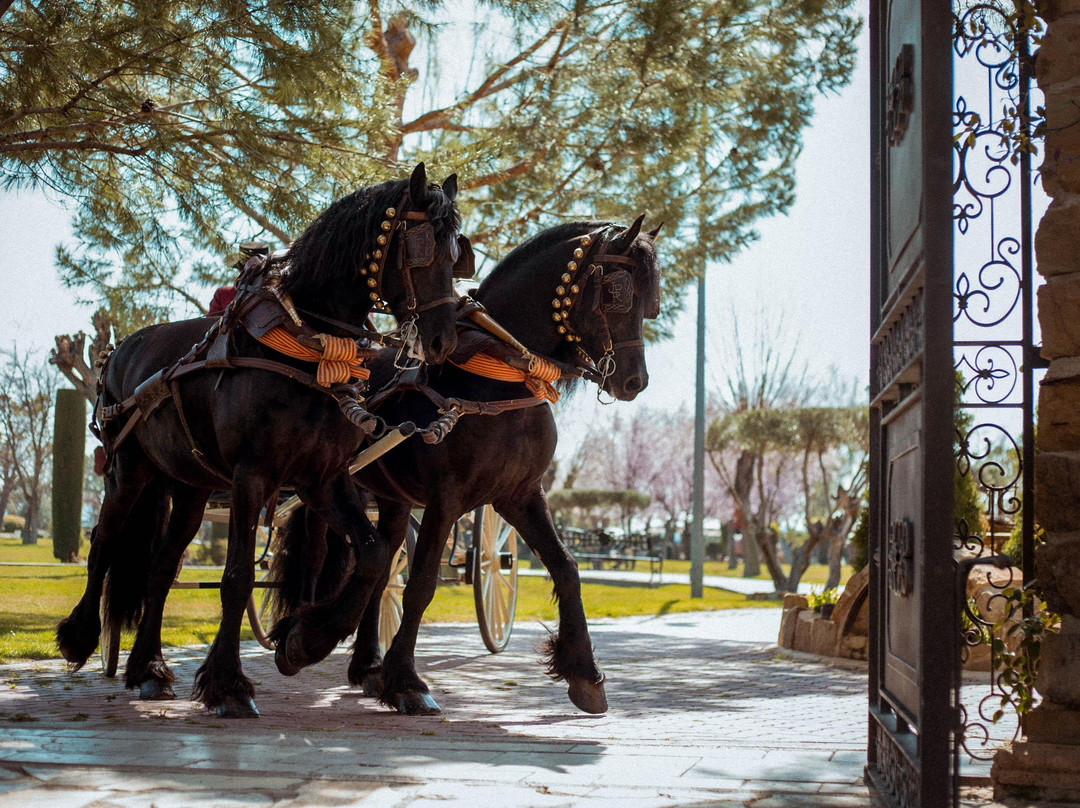 Cervantour-阿尔卡拉-德-哈纳雷斯必去景点