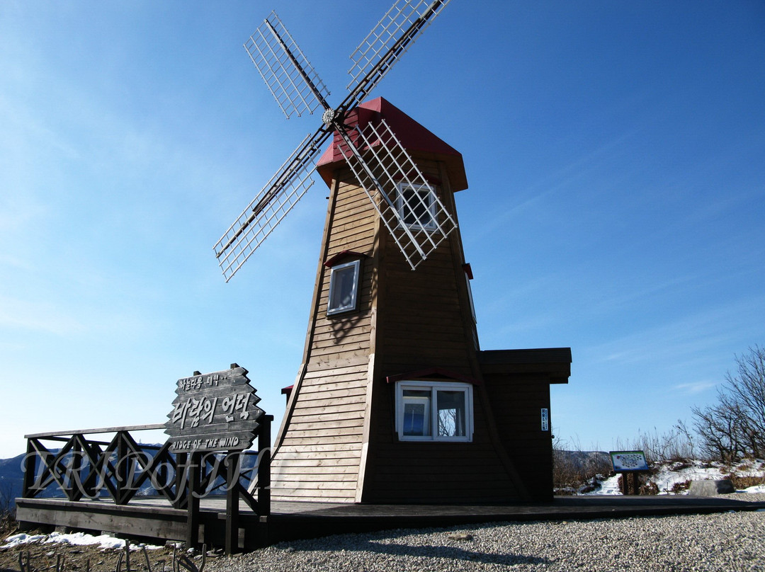 Maebongsan Wind Power Plant Complex-太白市必去景点