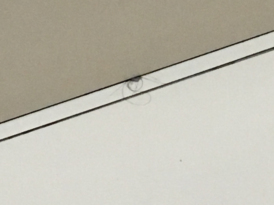 Diamond Flat Mont Blanc主图