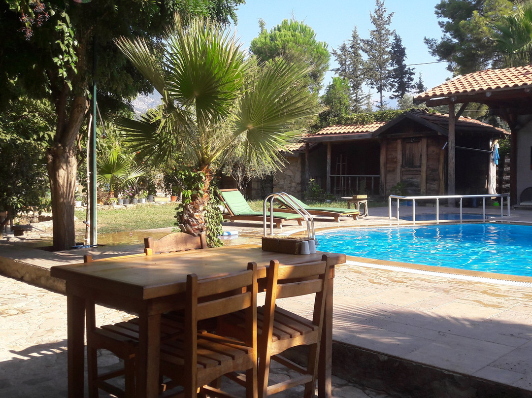 Koyevi Olympos Countryhouse主图