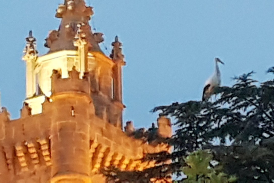 Hotel Ciudad de Ejea主图