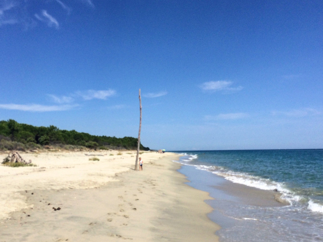 Plage de Pinia景点图片