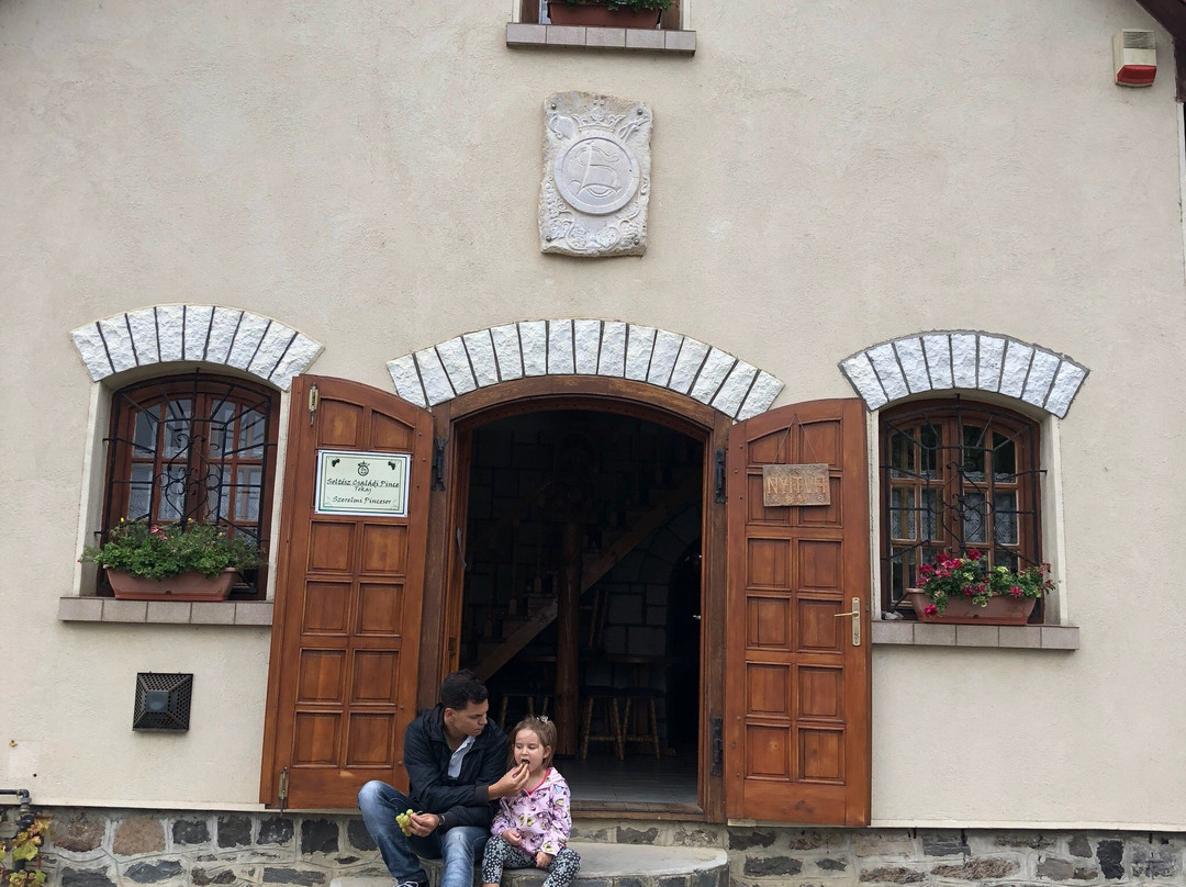 Soltész Family Winery景点图片