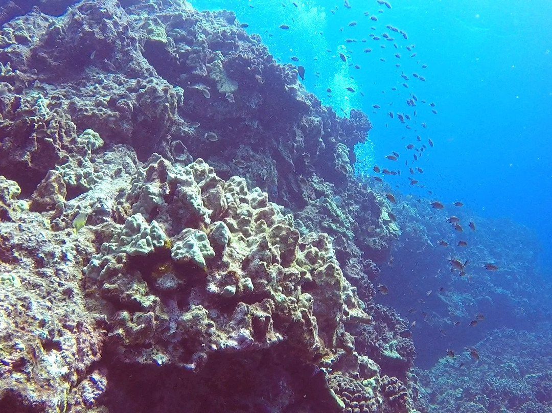 Adventure Dive Center-奥尔巴尼必去景点