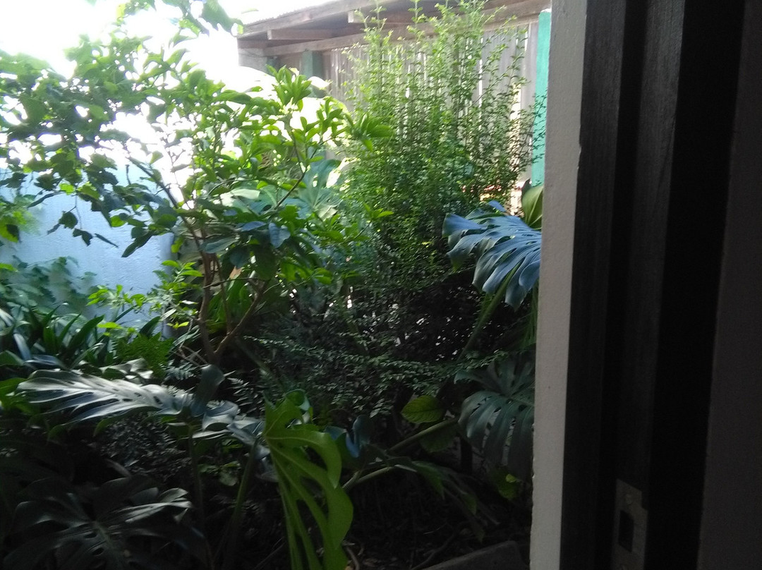 La Casa de Teresa主图