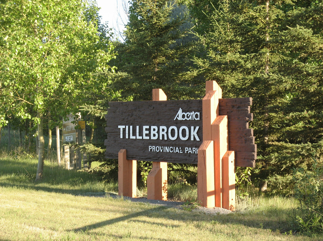 省立蒂尔布鲁克公园 -布鲁克斯必去景点