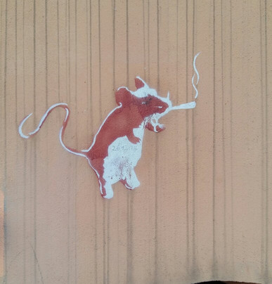 Kamienica Loitzow-什切青必去景点