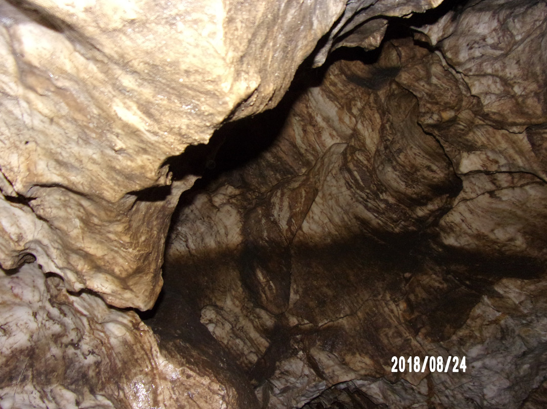 Radochowska Cave景点图片