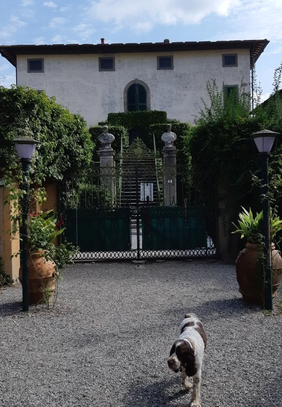 Tenuta Di Ghizzano景点图片