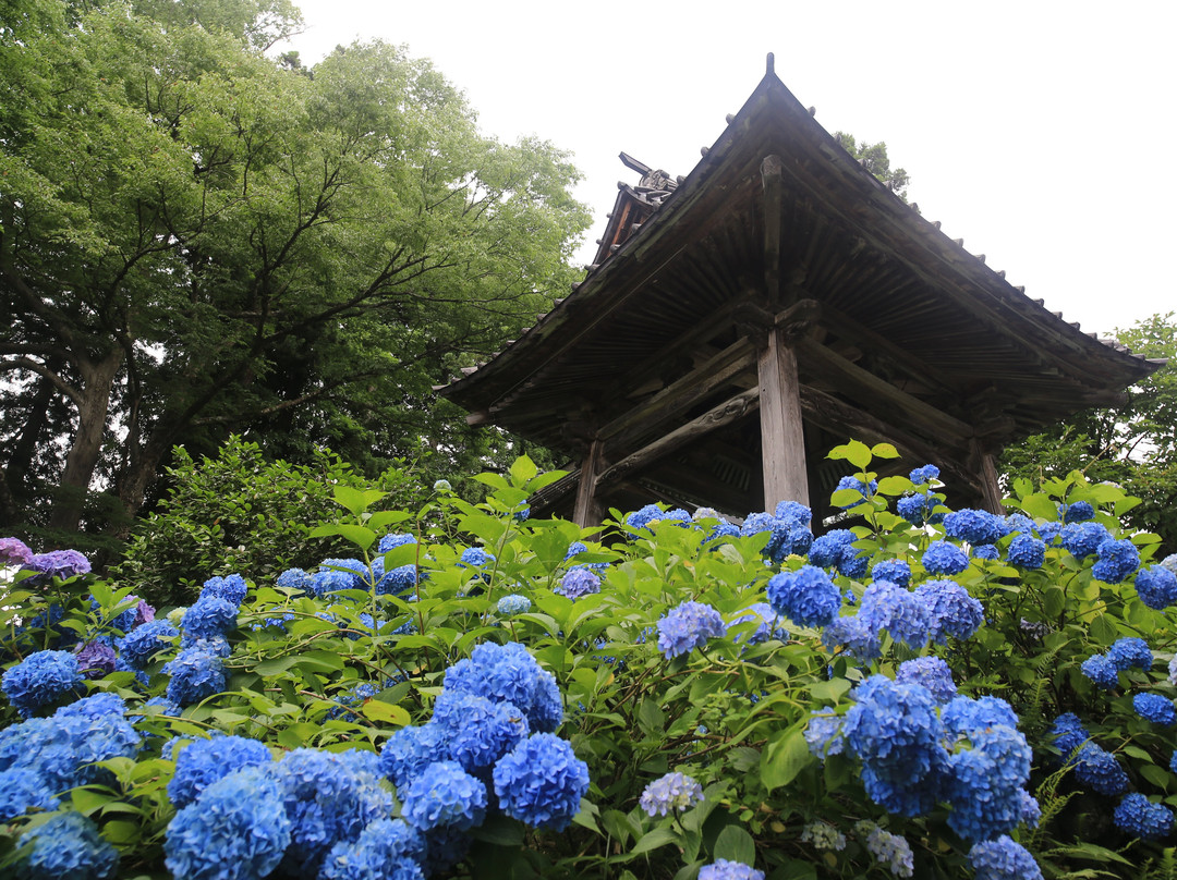 Ajisaidera Kogen-in Temple景点图片