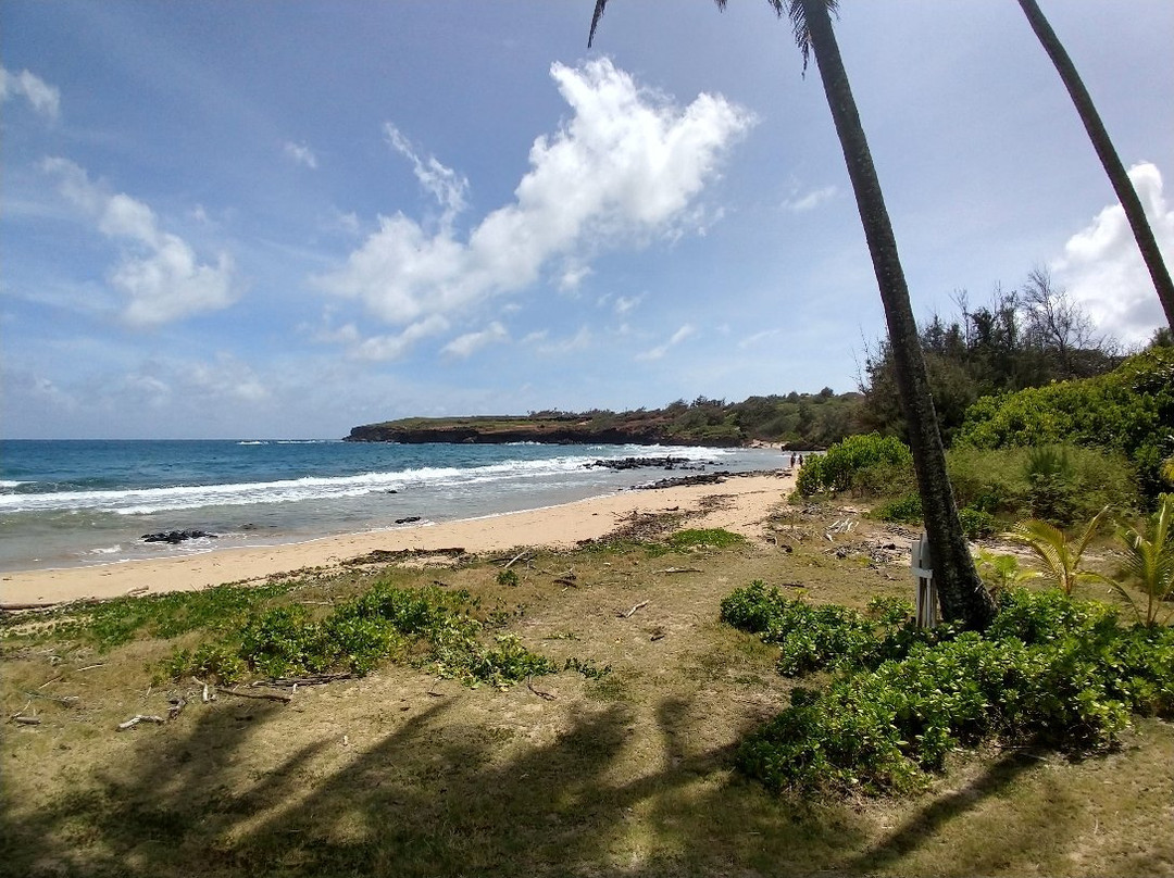 Gillin's Beach-坡伊普必去景点