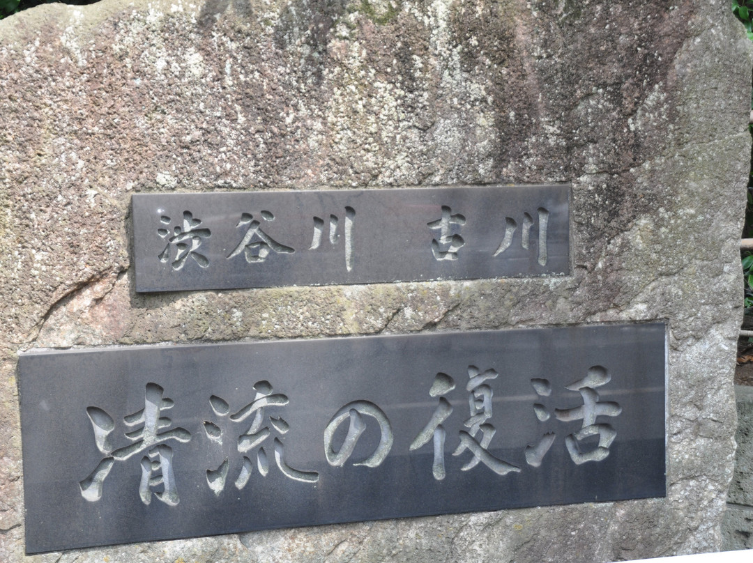 Shibuyagawa Furukawa Seiryu Fukkatsu no Hi Monument景点图片