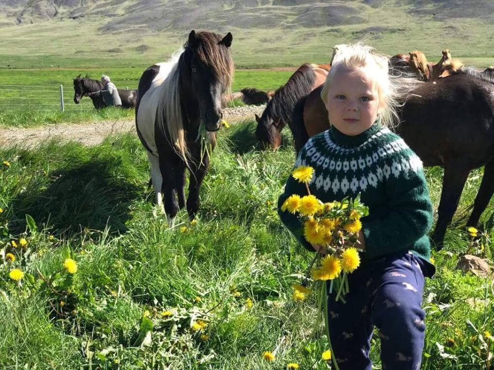 Sydra Skordugil-Varmahlid必去景点