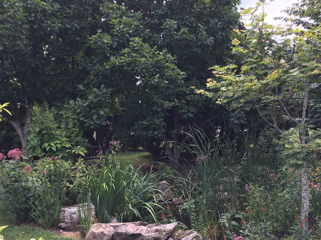Hahn Horticulture Garden at Virginia Tech景点图片