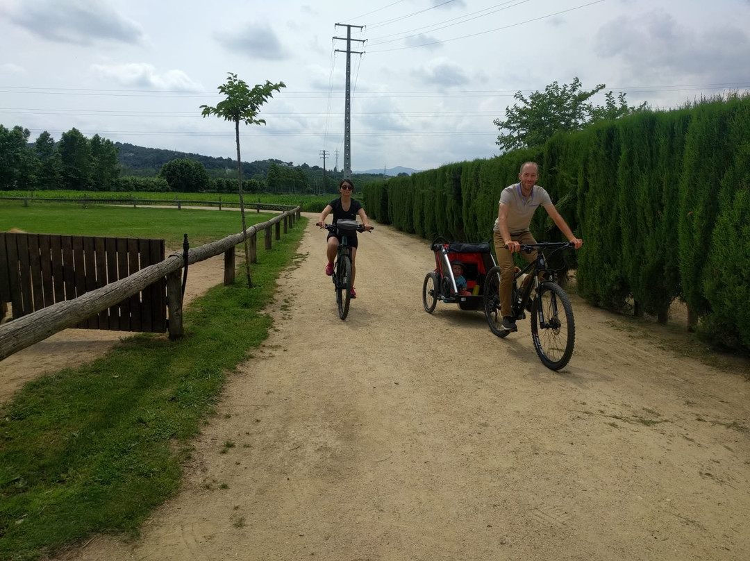 Fietsen in Girona景点图片