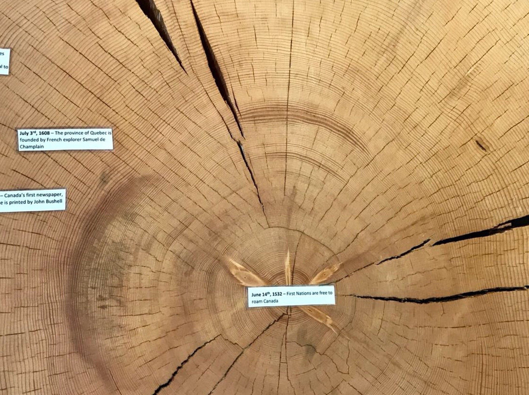 BC Interior Forestry Museum-雷夫尔斯托克必去景点