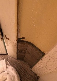 Quality Inn & Suites Albany主图