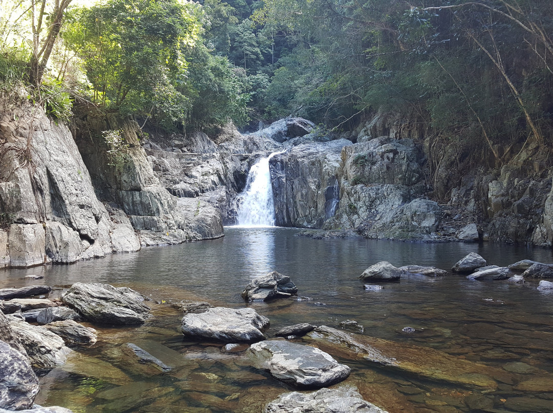 Redlynch旅游攻略图片