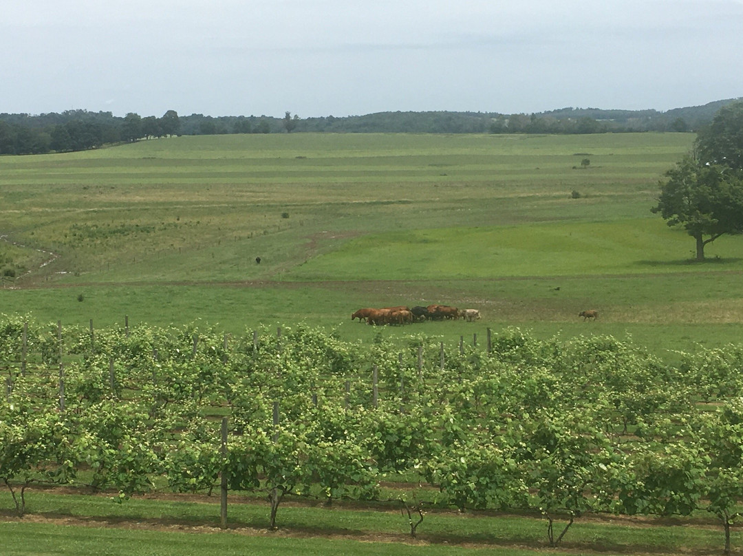 Glades Pike Winery景点图片