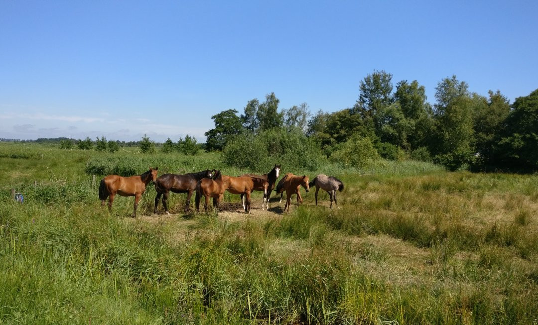 Warten旅游攻略图片