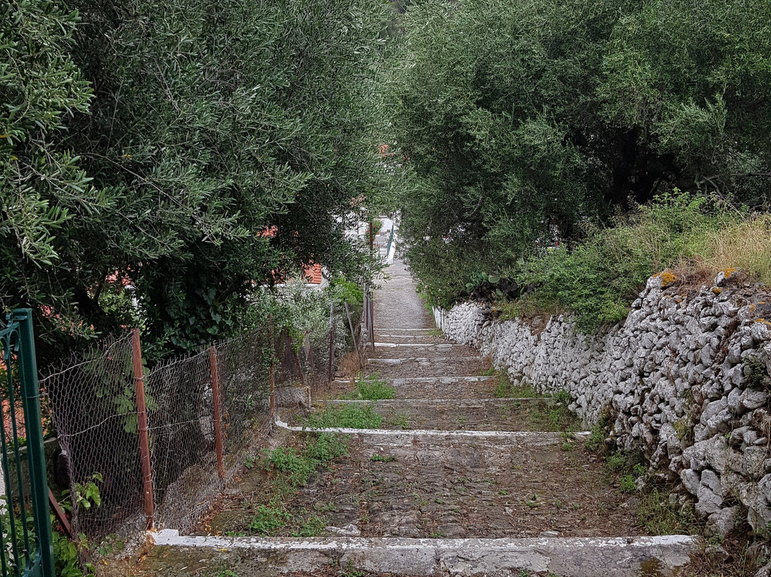 Pension Gerania主图