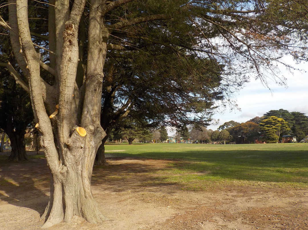 Balwyn North旅游攻略图片