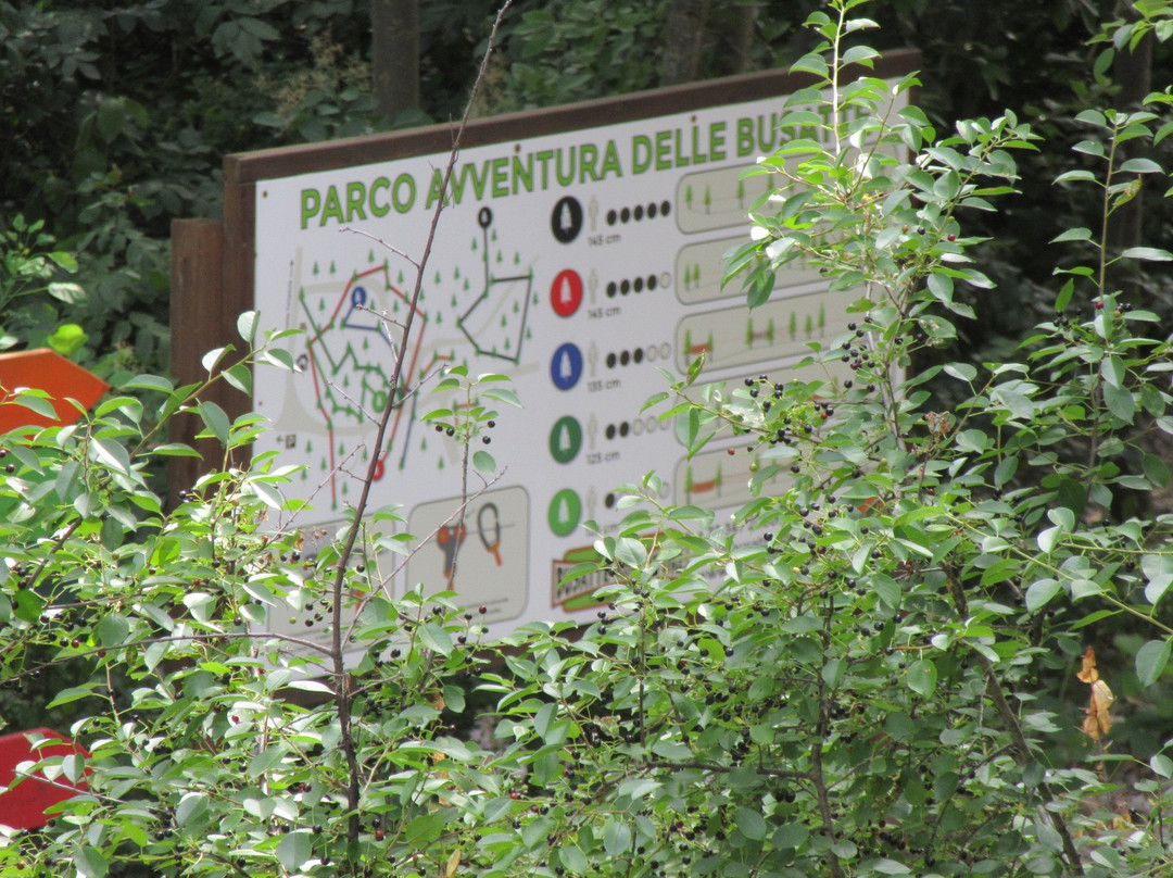 Parco Avventura delle Busatte景点图片