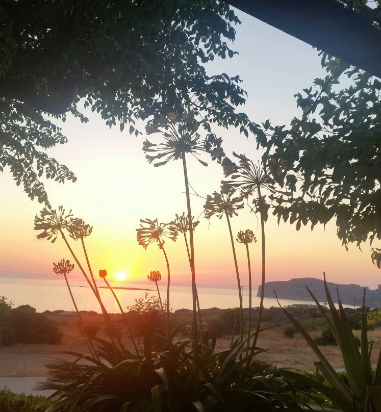 Adam - Rooms for Rent主图