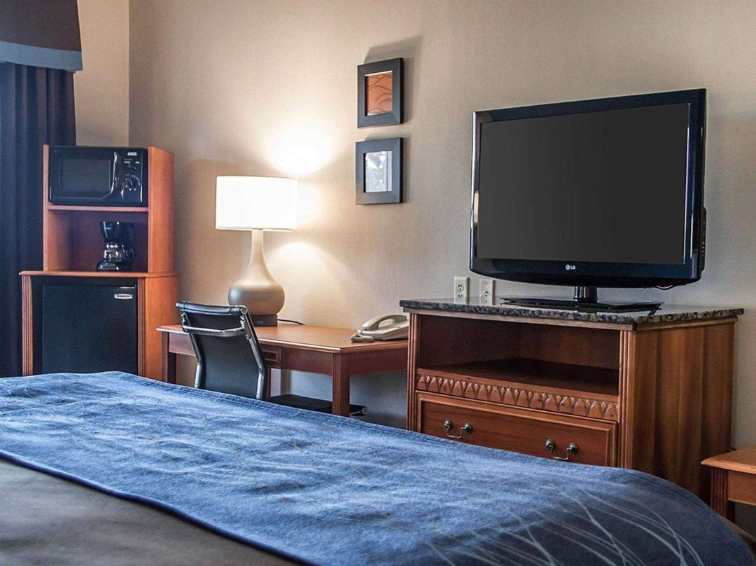 Comfort Inn & Suites主图