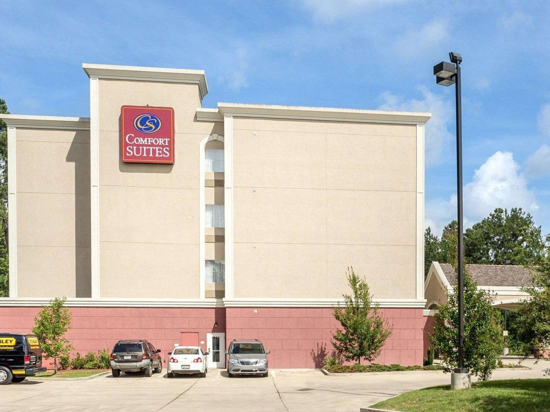 Comfort Suites Mandeville - Covington主图