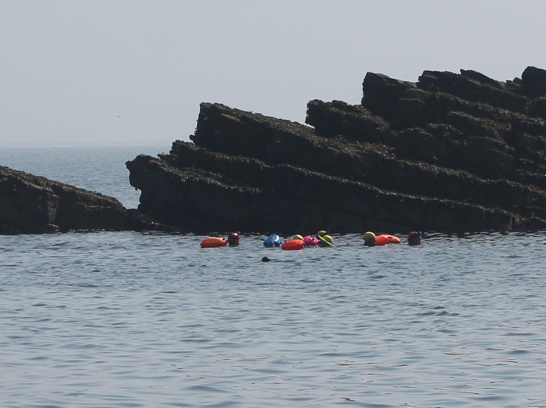 Swim Pembrokeshire景点图片