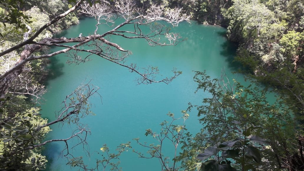 Cenote Miguel Colorado景点图片