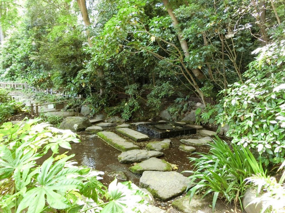 Ochanomizu Pond-三鹰市必去景点