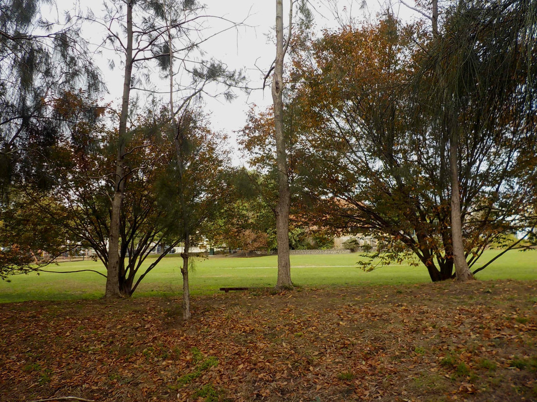 Victory Square Reserve-Armadale必去景点