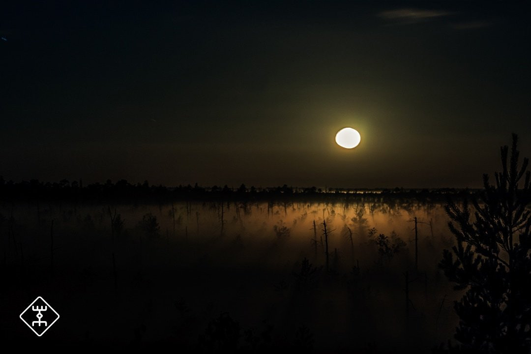 The Latvian Element-里加必去景点