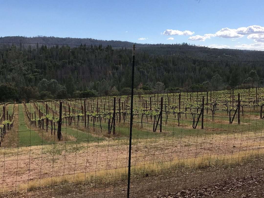 Yosemite Cellars-格罗夫兰必去景点