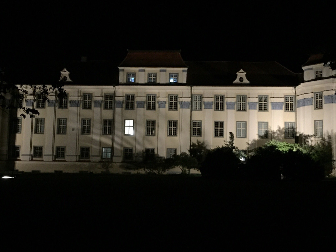 Neues Schloss Tettnang景点图片