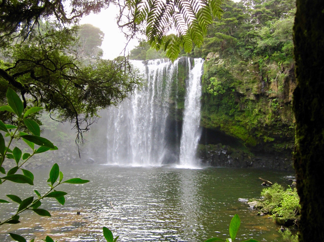 Kerikeri River Track景点图片