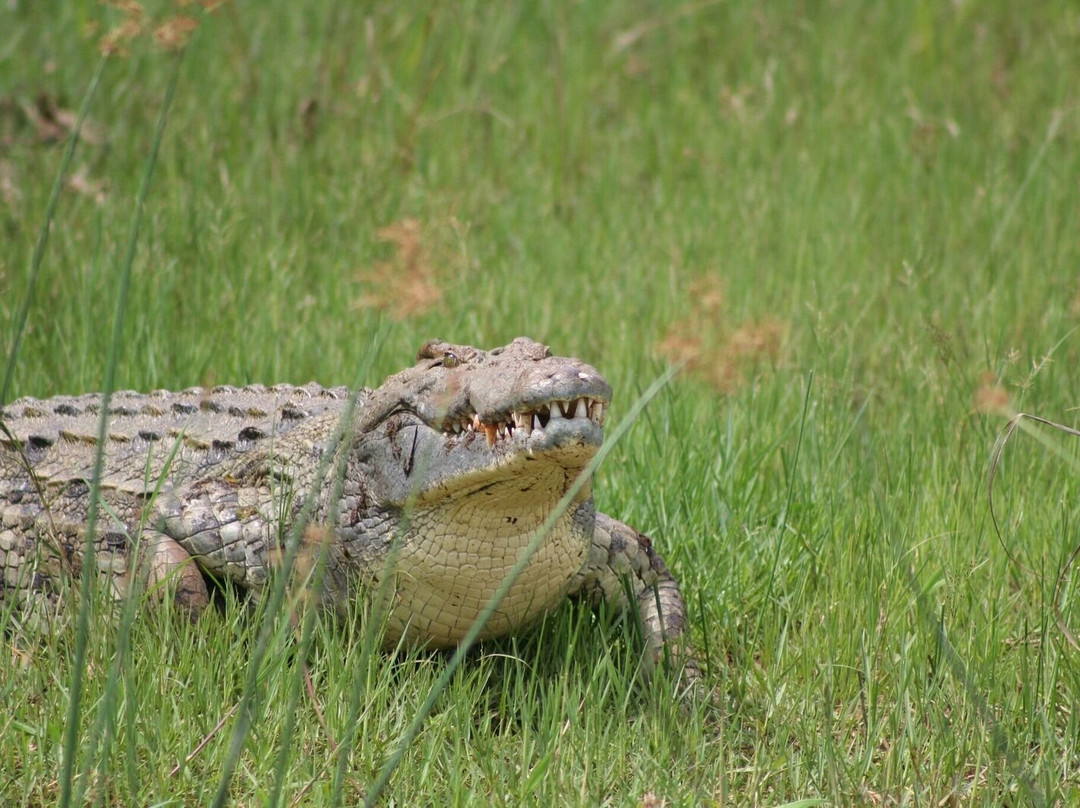 Muky Tours and Safaris-Mukono必去景点
