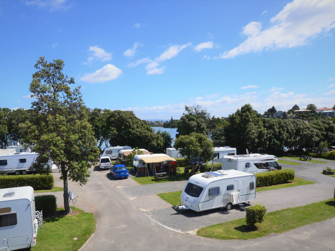 Tauranga Tourist Park