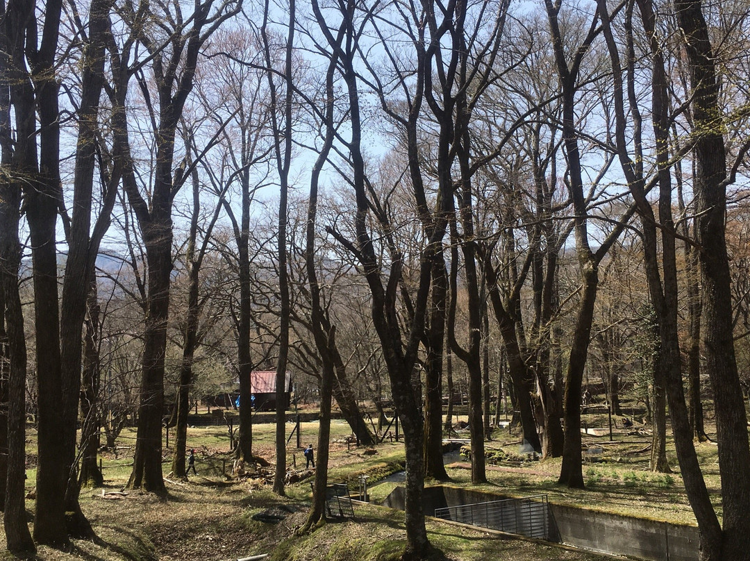 Sakana to Mori no Kansatsuen-日光市必去景点