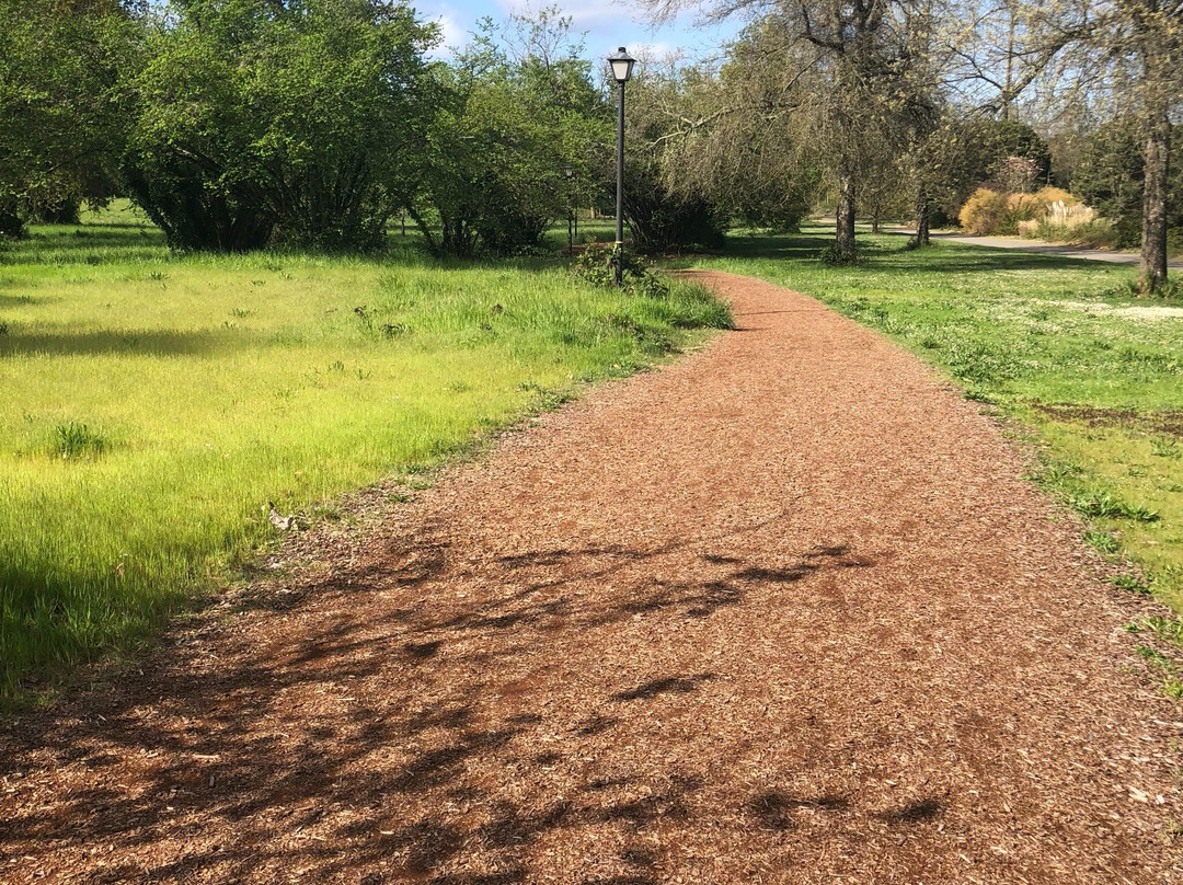 Pre's Trail-尤金必去景点