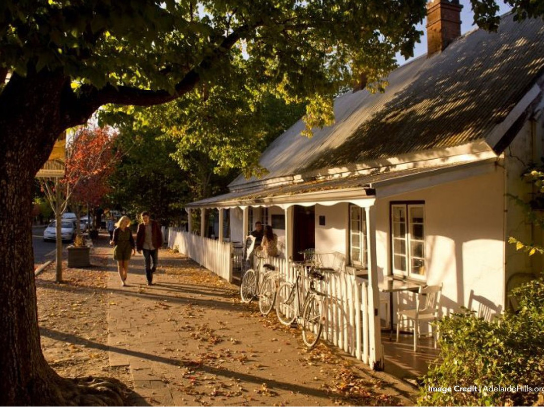 Velo de Vines-Woodside必去景点