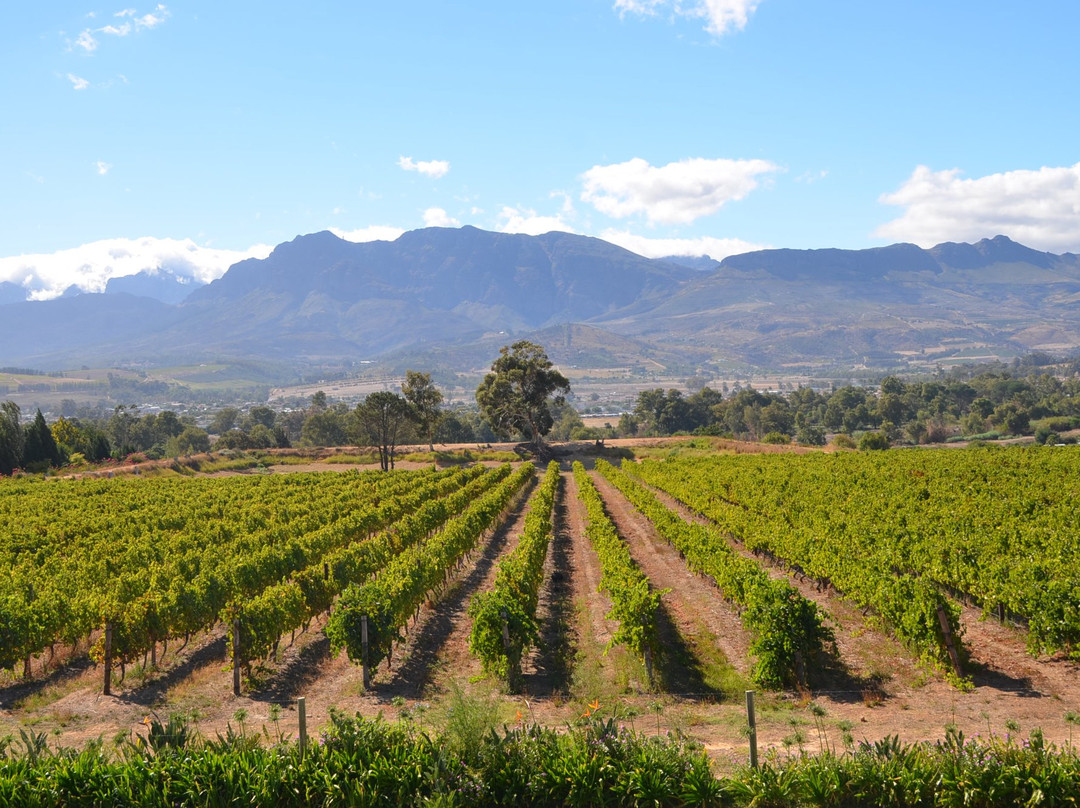 CANA Vineyard Guesthouse主图