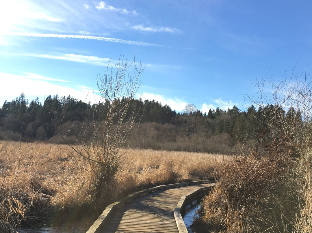 North Creek Park-博塞尔必去景点