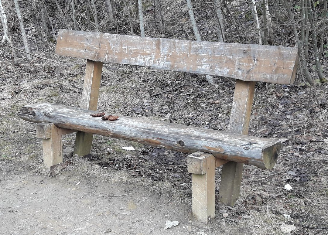 Park of St. Panteleumon The Healer-Skhodnitsa必去景点